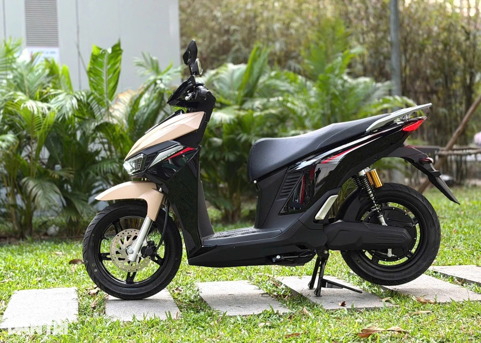 Viper — ảnh thực tế